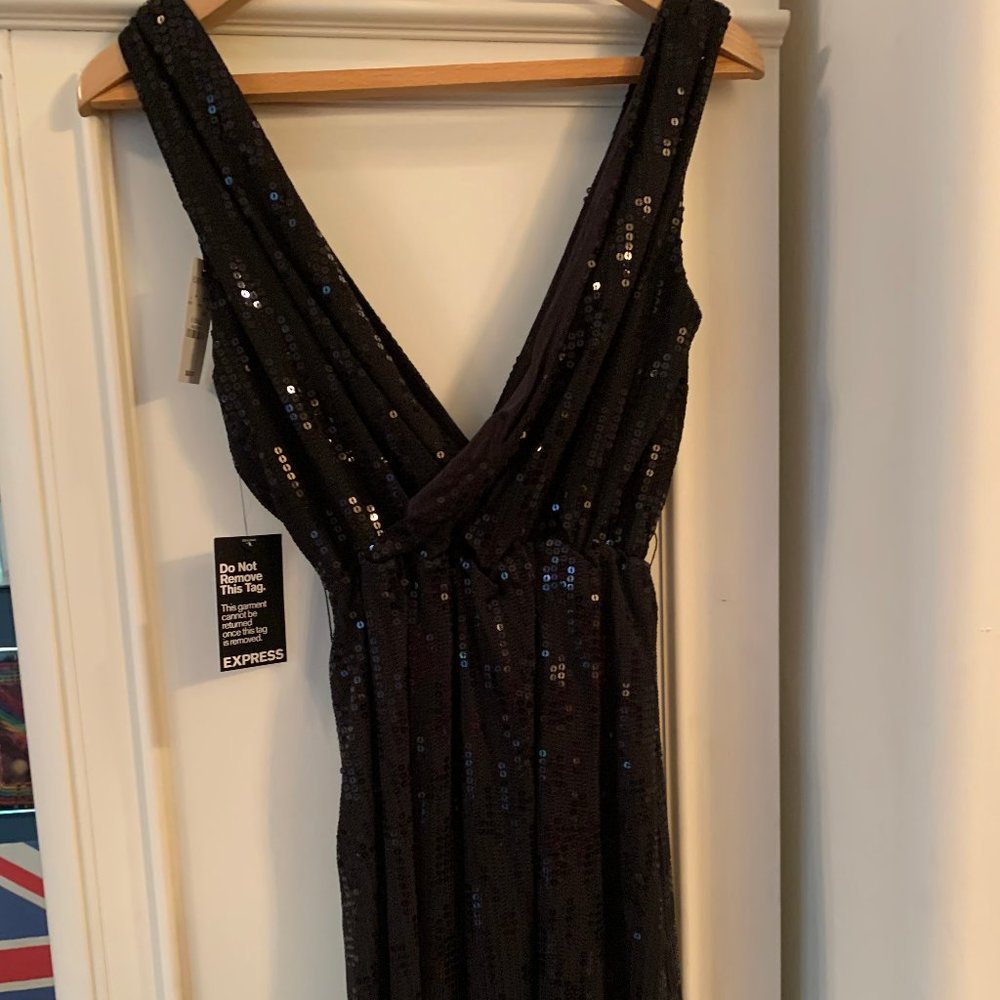 Express Black Sequin Dress